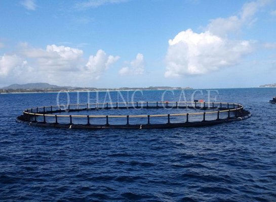 HDPE Circular Fish Farming Floating Net Cage - China Aquaculture Net Cage,  Fish Farming Cage